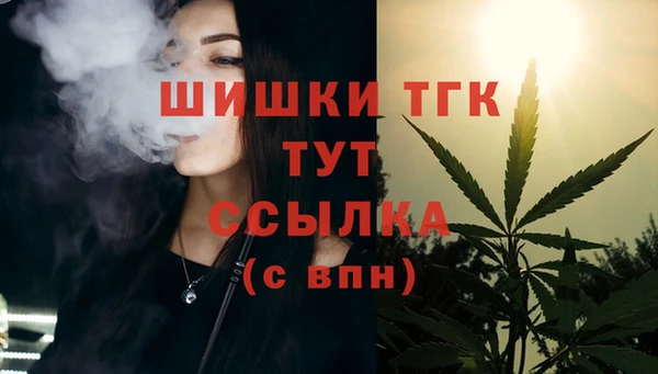 ПСИЛОЦИБИНОВЫЕ ГРИБЫ Верхний Тагил