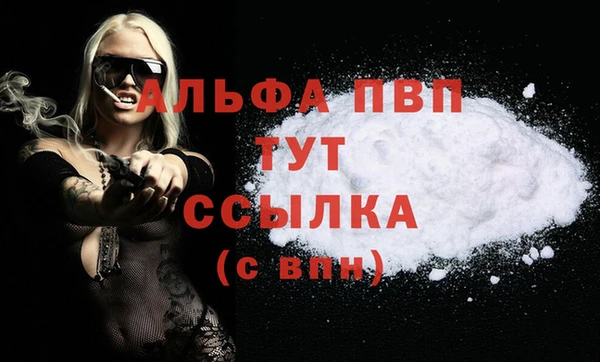 apvp Верея