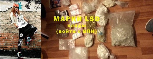 ПСИЛОЦИБИНОВЫЕ ГРИБЫ Верхний Тагил