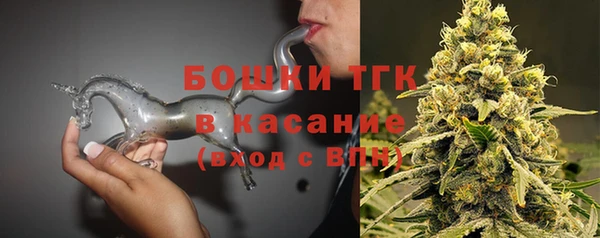 ПСИЛОЦИБИНОВЫЕ ГРИБЫ Верхний Тагил
