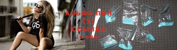 apvp Верея