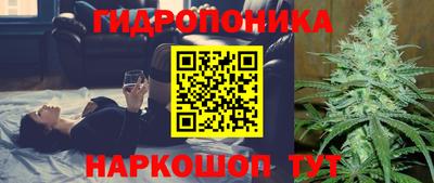 метадон Гусев