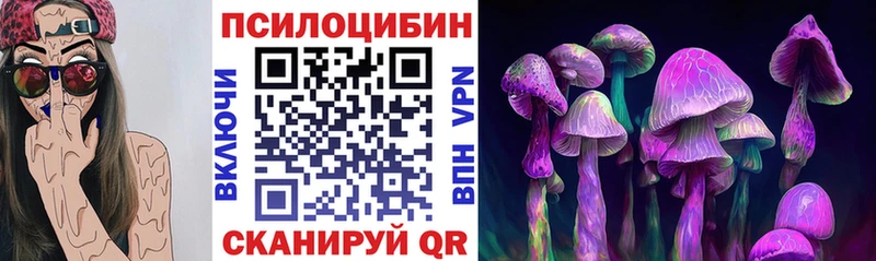 дарк нет какой сайт  купить наркотик  Муром  Галлюциногенные грибы мицелий 