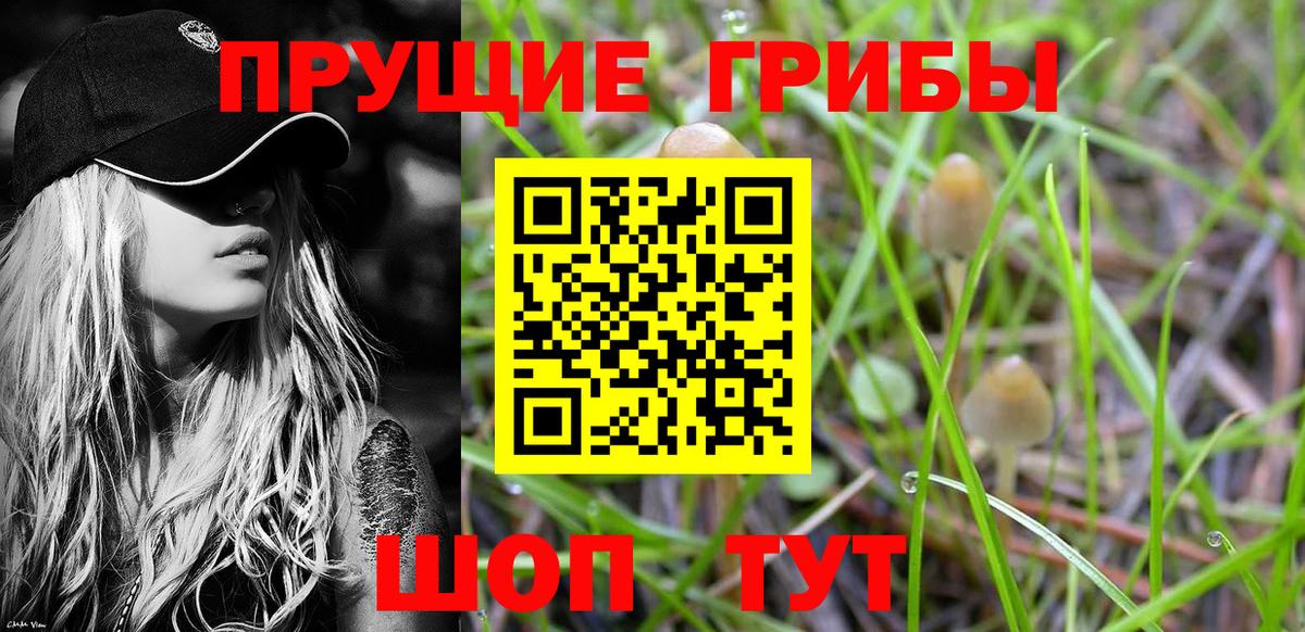 Муром  Галлюциногенные грибы Cubensis  Вход с VPN  Псилоцибиновые грибы ЛСД 