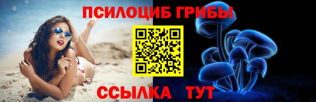Псилоцибиновые грибы ЛСД Муром